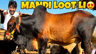 ALHAMDULILLAH NASEEB KA SODA HOGAYA 😍 MANDI LOOT LI ❤️  MANDI VLOG  MISHKAT KHAN [upl. by Nellda]