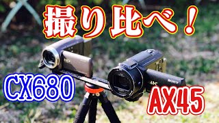 SONY FDRAX45試し撮り20190309 [upl. by Assenad651]