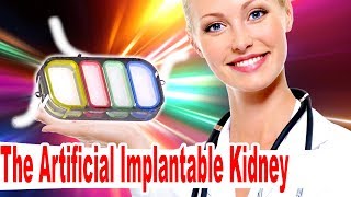 The Implantable Artificial Kidney and How It Will Change Kidney Transplant [upl. by Llesirg]