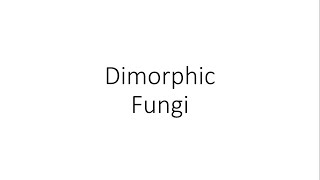 Dimorphic Fungi  Microbiology [upl. by Taber]