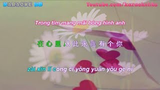 Từ Nay Trong Tim Luôn Có Em  在心裡從此永遠有個你  Vietsub  Kara [upl. by Nealy]