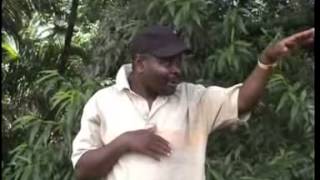 Phungu Joseph Nkasa  Chilungamo [upl. by Enelrak]