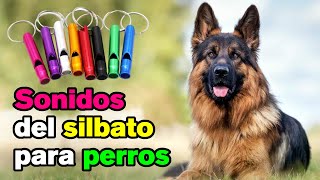 Sonidos de Silbido para Perros [upl. by Engapmahc]