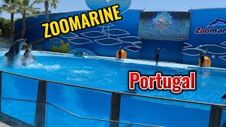 Zoomarine Portugal  Algarve  Travel vlog  Dolphins show [upl. by Lussier]