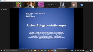 Union antigeno anticuerpo [upl. by Asselam652]