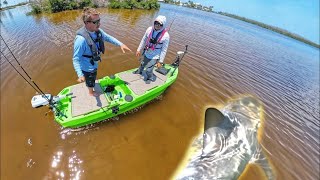 INSANE Shark Catch Clean And Cook Like Youve Never Seen Before Milha Lite Skiff with AutoBoat [upl. by Alrak772]