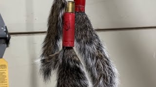 Squirrel Tail Ornament and Trophy Tail [upl. by Nobe]