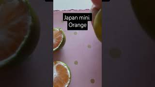 satisfying youtubeshorts asmr japan little green orange dalanghita [upl. by Mckale350]