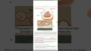 FSc Biology XII Ch17 Synapse Nervous System Hydra and Planaria Classification p6567 [upl. by Erotavlas]