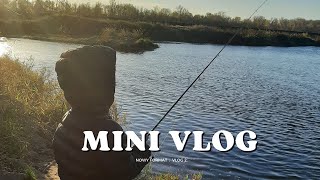 Po weekendzie dużo pracy  Vlog 02 [upl. by Nofets]