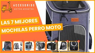 🐶 Cómo Viajar con un Perro en Moto  Consejos Documentos y Accesorios Necesarios 🏍🐶 [upl. by Ykroc]