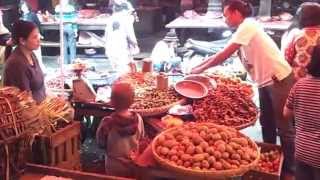 Tomohon Market  A Traditional Market [upl. by Yentnuoc274]