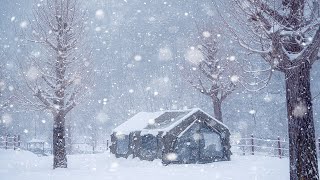 Camping in Heavy Snow  In a perfect air tent that feels like home cozy camping  snow asmr [upl. by Hobart]