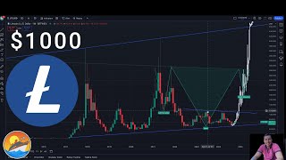 Litecoin is going to 1000 when and how LTC [upl. by Kalmick451]