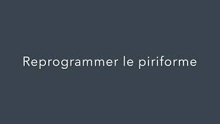 Comment reprogrammer le muscle piriforme pyramidal sans lépuiser Syndrome du piriforme [upl. by Enelad]