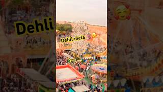 New dehli nela song music hindisong shortvideo shortvideo funny hindufestival shorts short [upl. by Pearlstein745]