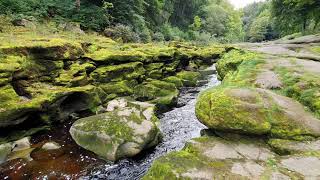 The Strid The Worlds Deadliest Strip Of Water At 659 Meters Deep Or 216 feet 😲 [upl. by Waldack]