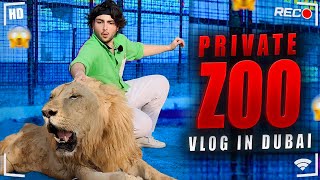 PRIVATE ZOO IN DUBAI  Vlog [upl. by Oad]