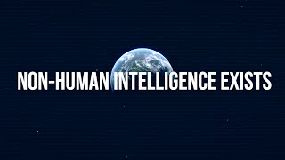 NonHuman Intelligence Exists There Is Zero Doubt  Col Karl Nell [upl. by Hnad510]