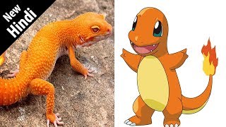 दस असली पोकेमॉन  10 REAL POKEMON  10 Reallife Pokemons Explained In Hindi  Episode 2 [upl. by Haleak]