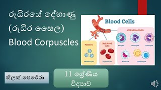 රුධිරයේ දේහාණු රුධිර සෛල Blood Corpuscles [upl. by Rumilly]