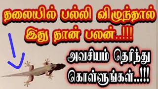 தலையில் பல்லி விழுந்தால் இதுதான் பலன் அவசியம் தெரிந்து கொள்ளுங்கள்  Palli vilunthal enna palan [upl. by Duleba]