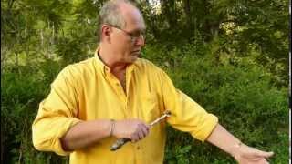 The Secret How to Use a Real Magic Wand For Healing  Raising Vibration  by Wolfgang [upl. by Marela355]