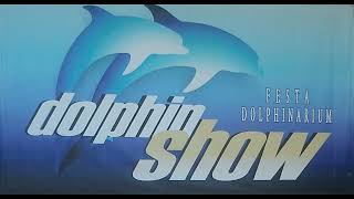 Dolphin show  Festa Dolphinarium Bulgaria [upl. by Kerri201]