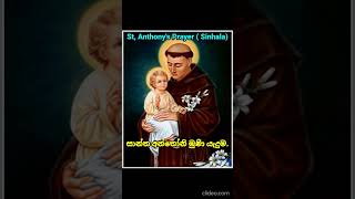 St Anthonys Prayer  sinhalaසා අන්තෝනි මුණි යැදුම [upl. by Eniala636]