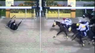 Perhaps this is the horse racing accident you never seen in your live [upl. by Sonahpets]