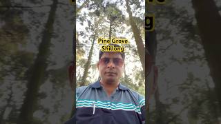 Pine GroveShillong bollywood music [upl. by Rhonda]