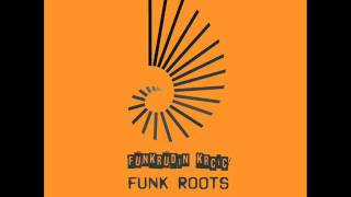 Funkrudin Krcic  Funk Roots [upl. by Aynotahs]