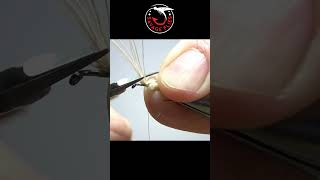 The Stalker Caddis flytying [upl. by Suiradal457]