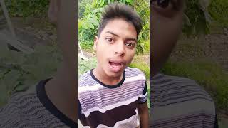 Ka hole such bhojpuri song [upl. by Ietta]