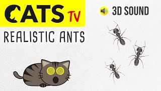 CATS TV  Catching Realistic Ants 🐜 Insects Game for cats to watch [upl. by Nerrol570]