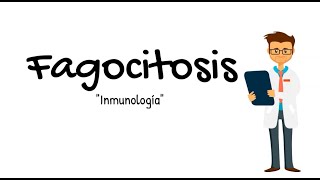 Fagocitosis Inmunología 6 [upl. by Gow]