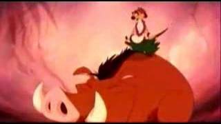 Timon and Pumba  Hula [upl. by Yedrahs]