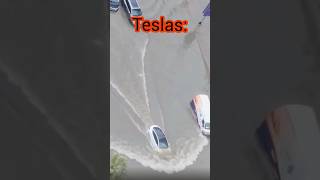 Are teslas good in water [upl. by Alimac]