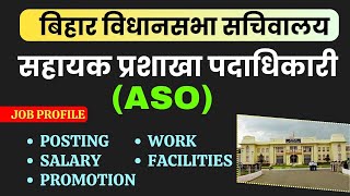 Bihar Vidhan Sabha Sachiwalay Assistant Section Officer Job Profile  Bihar Vidhan Sabha ASO Job [upl. by Anwahsiek]