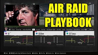 Air Raid Playbook Guide  College Football 25 [upl. by Nata]