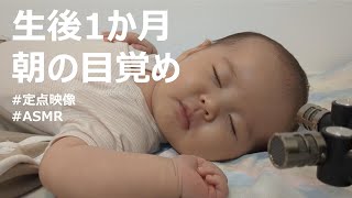 【生後1か月】朝の目覚め  Time to Wake Up 1 month baby asmr 1monthbaby babysounds [upl. by Hartzke490]