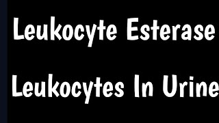 Leukocyte Esterase Urine Test  Leukocytes In Urine  Causes amp Symptoms Of High Leukocytes In Urine [upl. by Healey]