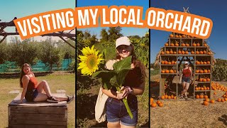 Fall Vlog 🍂  Apple Picking Visiting My Local Orchard Haul INIndiana [upl. by Nohsar165]