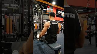 How to Do Seated Cable Rows 💪🏽 backworkout backexercises workout [upl. by Ihcehcu481]