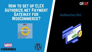 How to set up Authorizenet Payment Gateway on Your WooCommerce Store [upl. by Suoicerp]