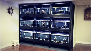 Ultimate DIY Aquarium Breeding Rack Auto Water Changes Clean Design Low Maintenance [upl. by Llydnek356]