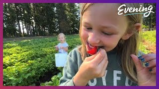 Check out the cream of the crop this summer on a farm to table trail in Northwest Washington [upl. by Enimsaj]