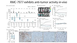 RMC7977 exhibits antitumor activity against Pancreatic cancer PDAC invivo Code 718 [upl. by Nalat997]