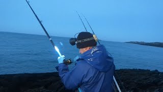 Fish a CAST  What a difference darkness brings  Anglesey rock fishing [upl. by Hubsher]