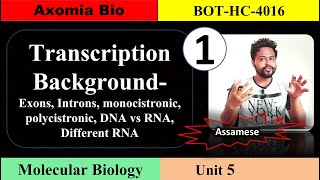 Transcription background cistron DNARNA  Unit 5  Class 1  Axomia Botany  BOTANY MAJOR GU [upl. by Ardnala]